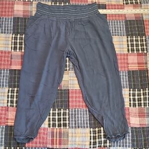 EUC Anthropologie Ett Twe Blue Textured Capris Palazzo Pants L